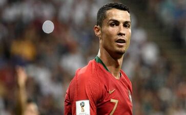 乒乓球台面什么木材