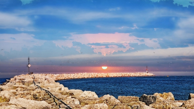 关于室内健身的词汇